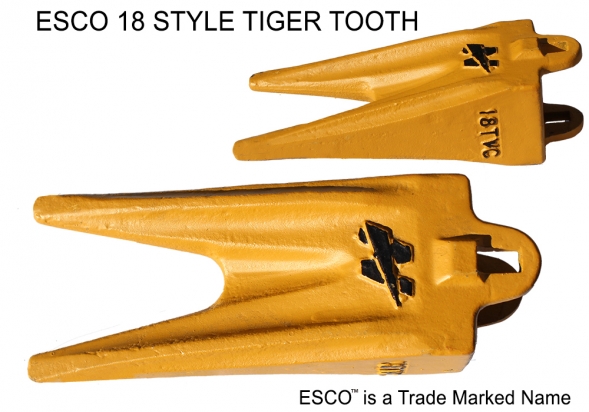 Esco Style Tiger Tooth